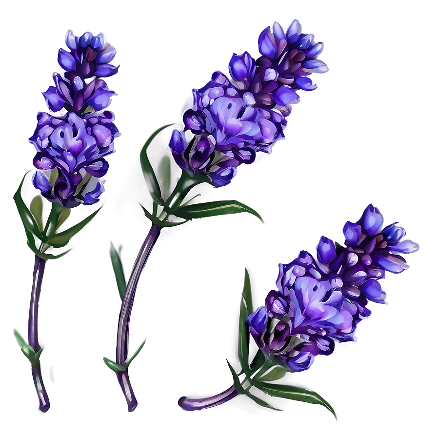 Delicate Lavender Petals Png Eoo PNG Image