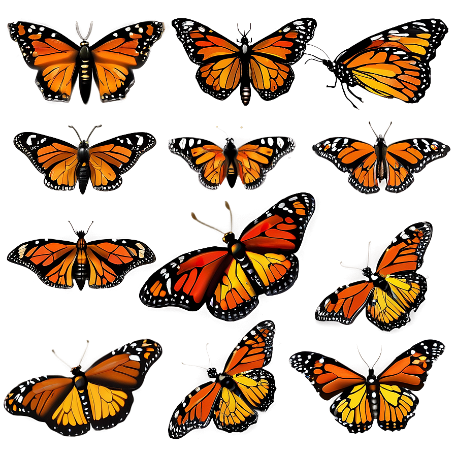 Delicate Monarch Butterflies Png 06252024 PNG Image