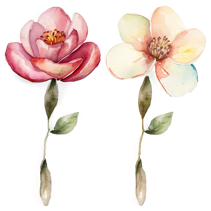 Delicate Watercolor Florals Png 5 PNG Image