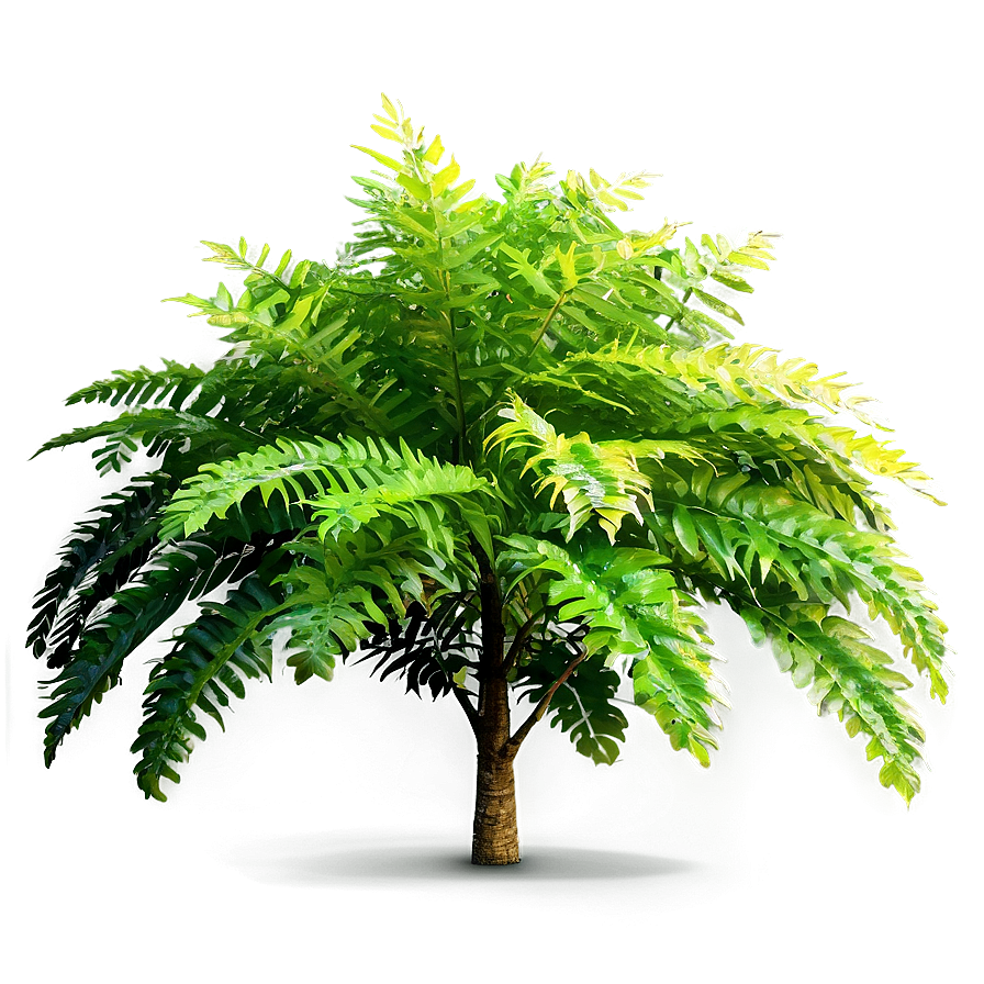 Dense Forest Bush Png Sdv PNG Image