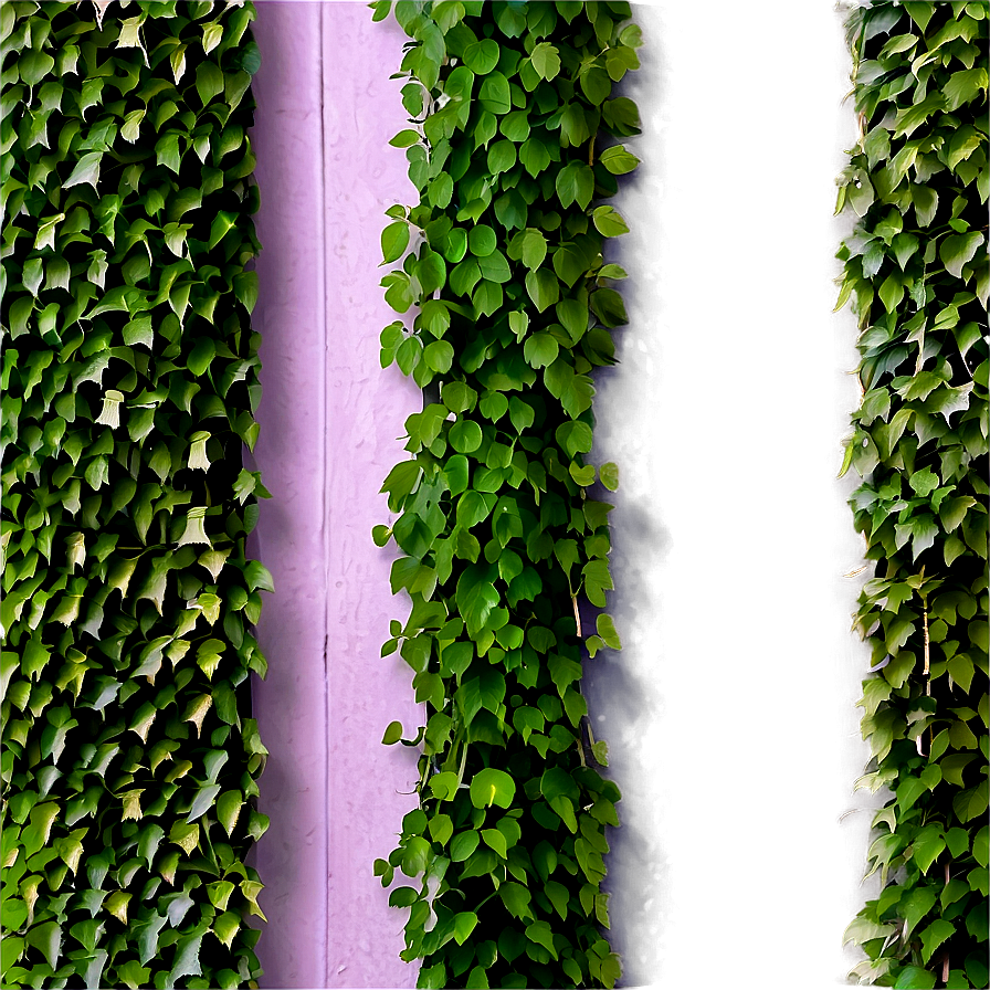 Dense Vine Wall Png Jyy PNG Image