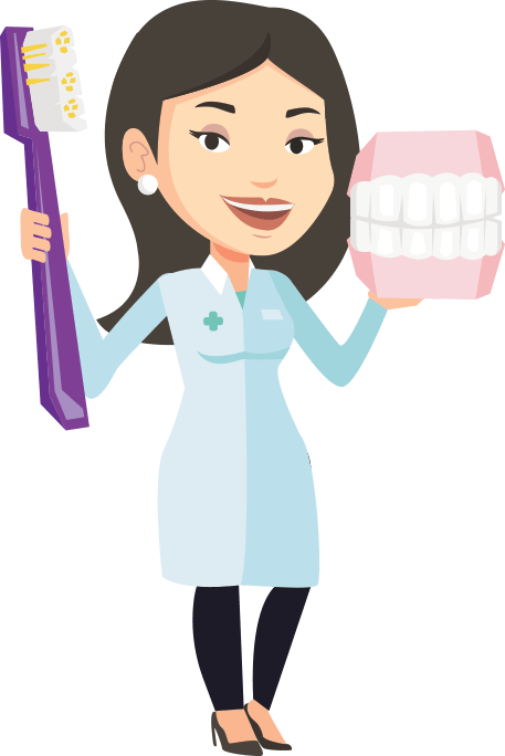 Dentist Cartoon Holding Toothbrushand Teeth Model.png PNG Image