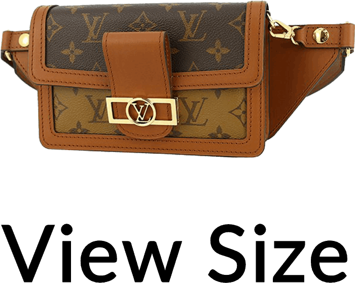 Designer Belt Bag Product Showcase PNG Image