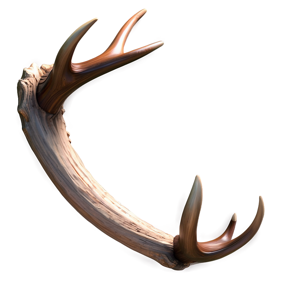 Detailed Antler Sketch Png 16 PNG Image