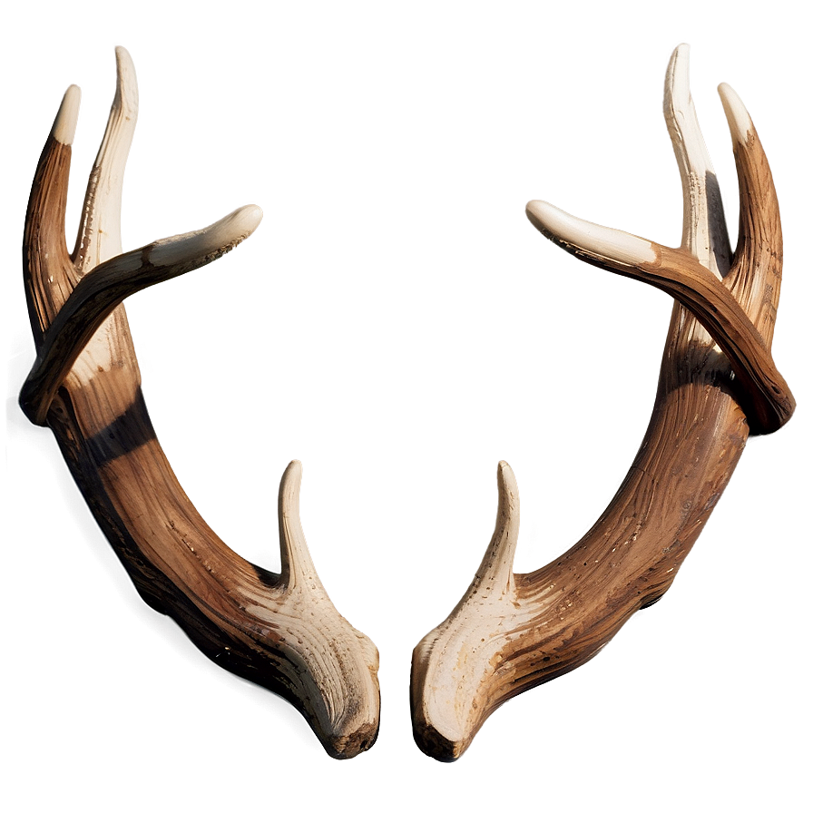 Detailed Deer Antler Engraving Png 7 PNG Image