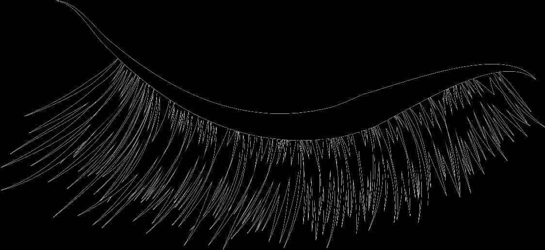 Detailed Eyelash Illustration PNG Image