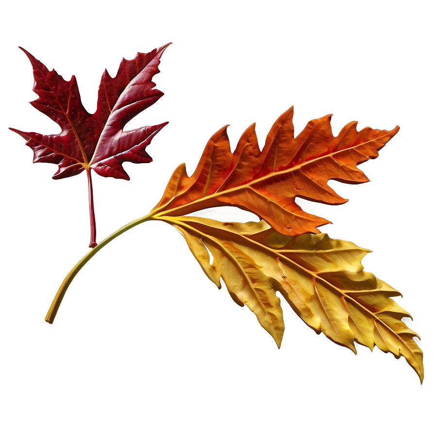 Detailed Fall Leaf Png Tgv62 PNG Image