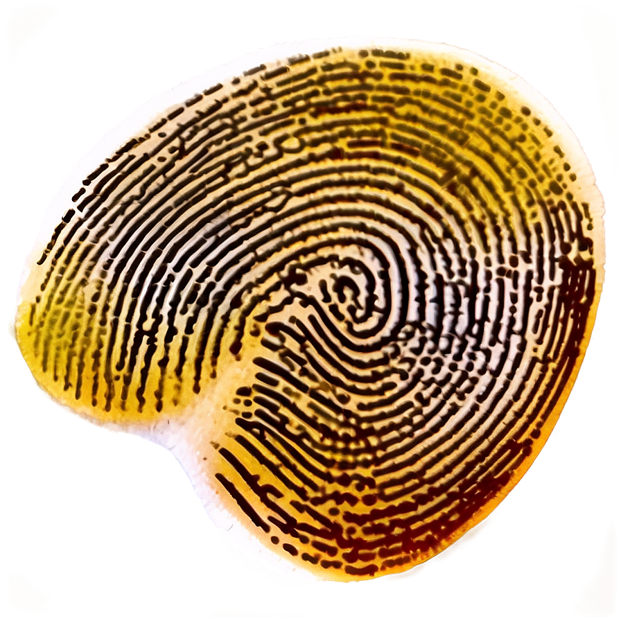 Detailed Fingerprint Design Png Hxv10 PNG Image