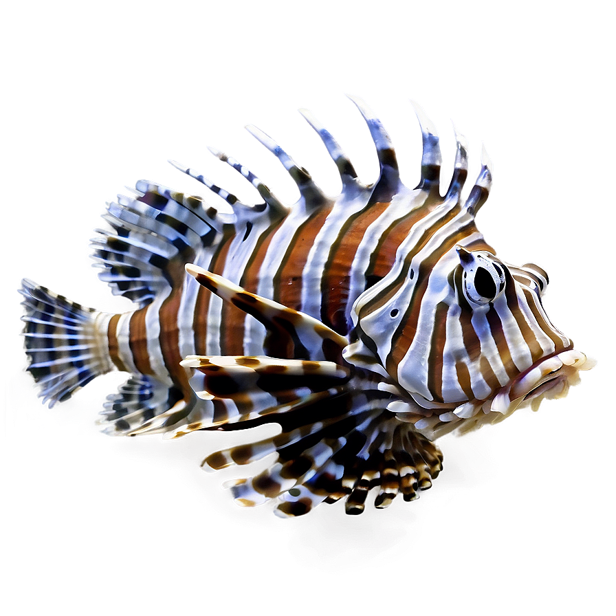 Detailed Lionfish Png Inm49 PNG Image