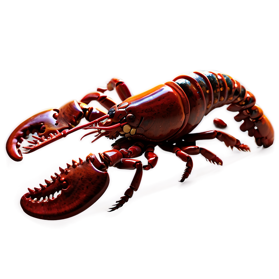 Detailed Lobster Png Cnl PNG Image