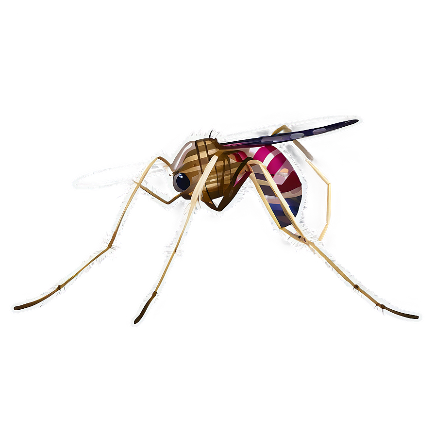 Detailed Mosquito Png Nku PNG Image