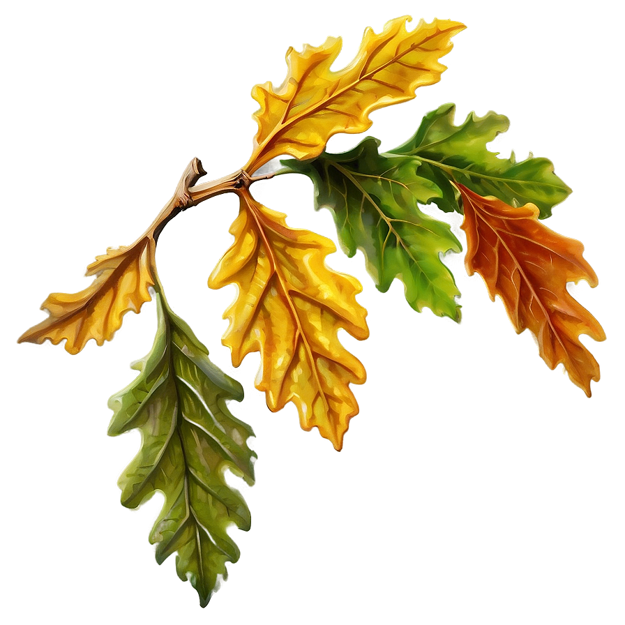 Detailed Oak Leaf Png 06292024 PNG Image