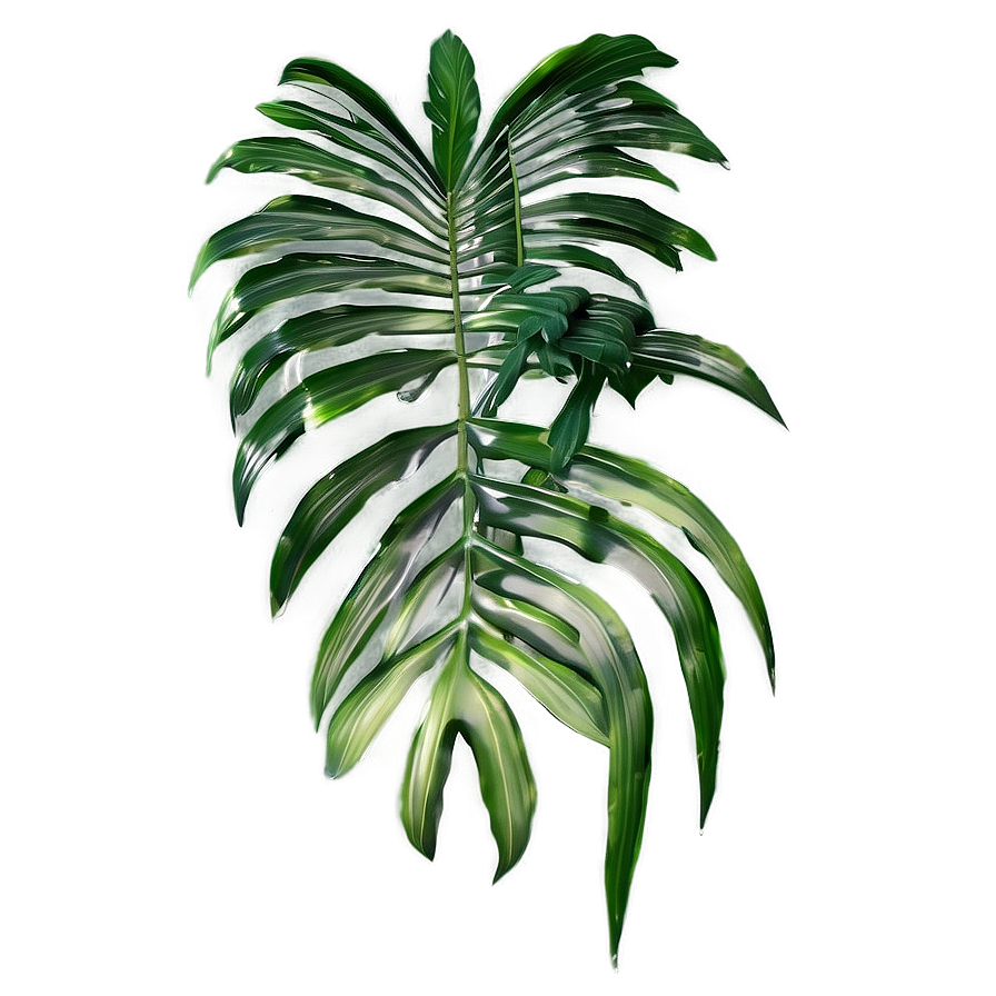 Detailed Palm Leaves Png 05252024 PNG Image