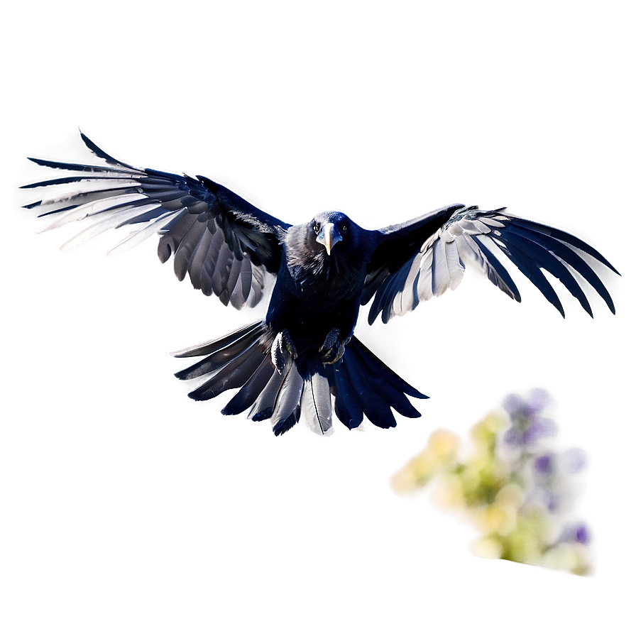 Detailed Raven Png 10 PNG Image