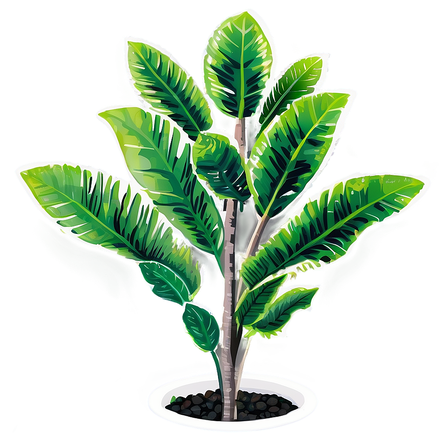 Detailed Tall Plant Png Xie PNG Image