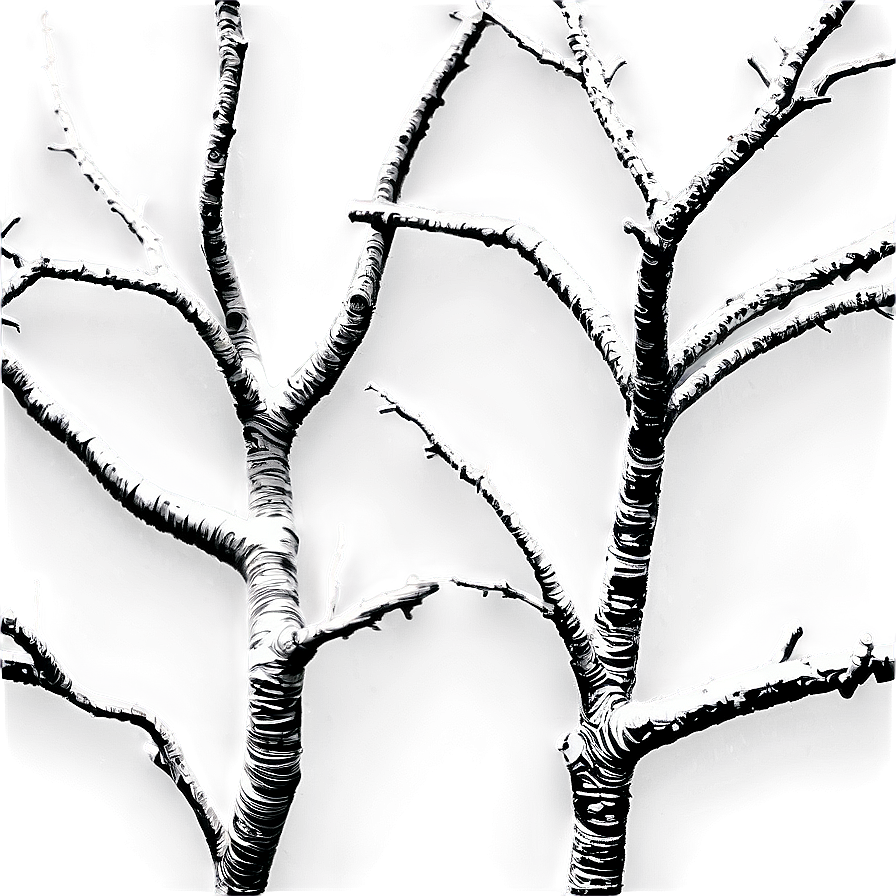 Detailed Tree Branches Png 78 PNG Image