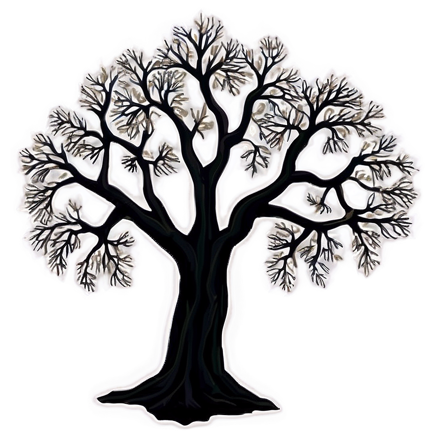 Detailed Tree Outline Png 29 PNG Image