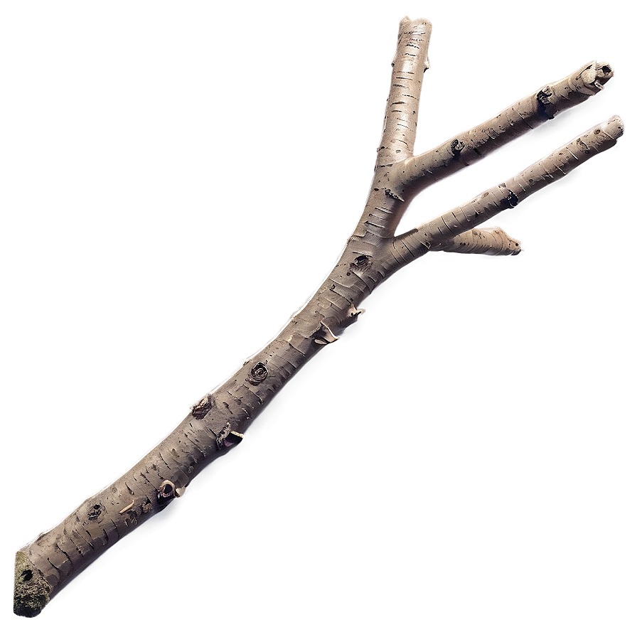 Detailed Twig Png Avg PNG Image