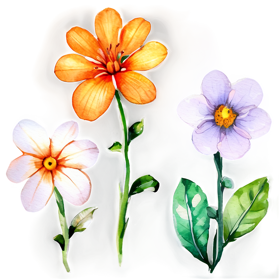 Detailed Watercolor Flowers Png 88 PNG Image