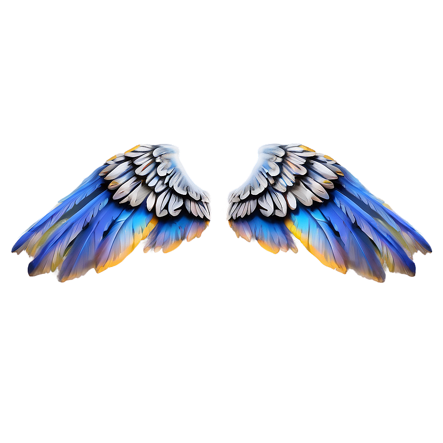 Detailed Wing Png Tqd PNG Image