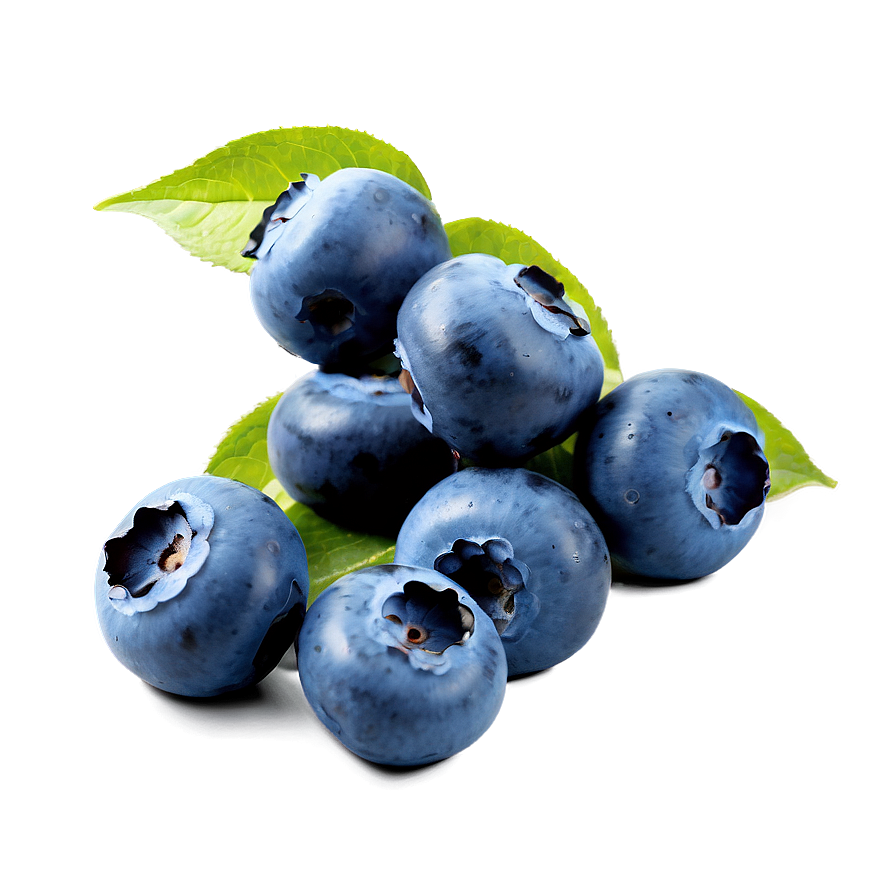 Dewy Blueberry Morning Png 05212024 PNG Image