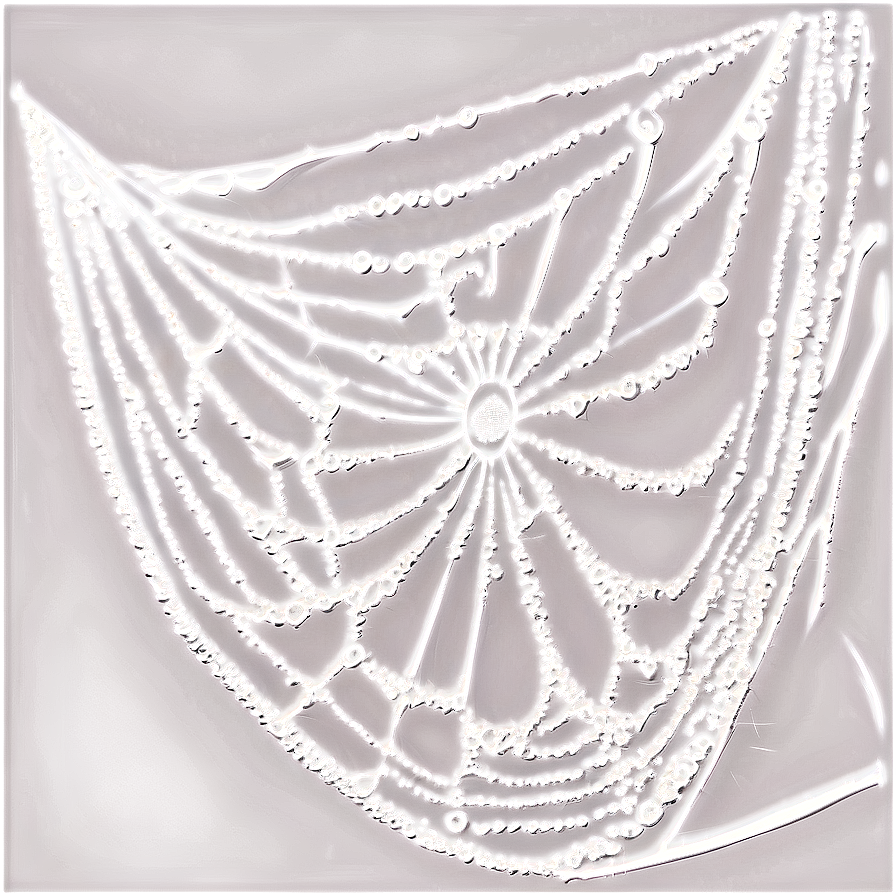 Dewy Spider Web Art PNG Image