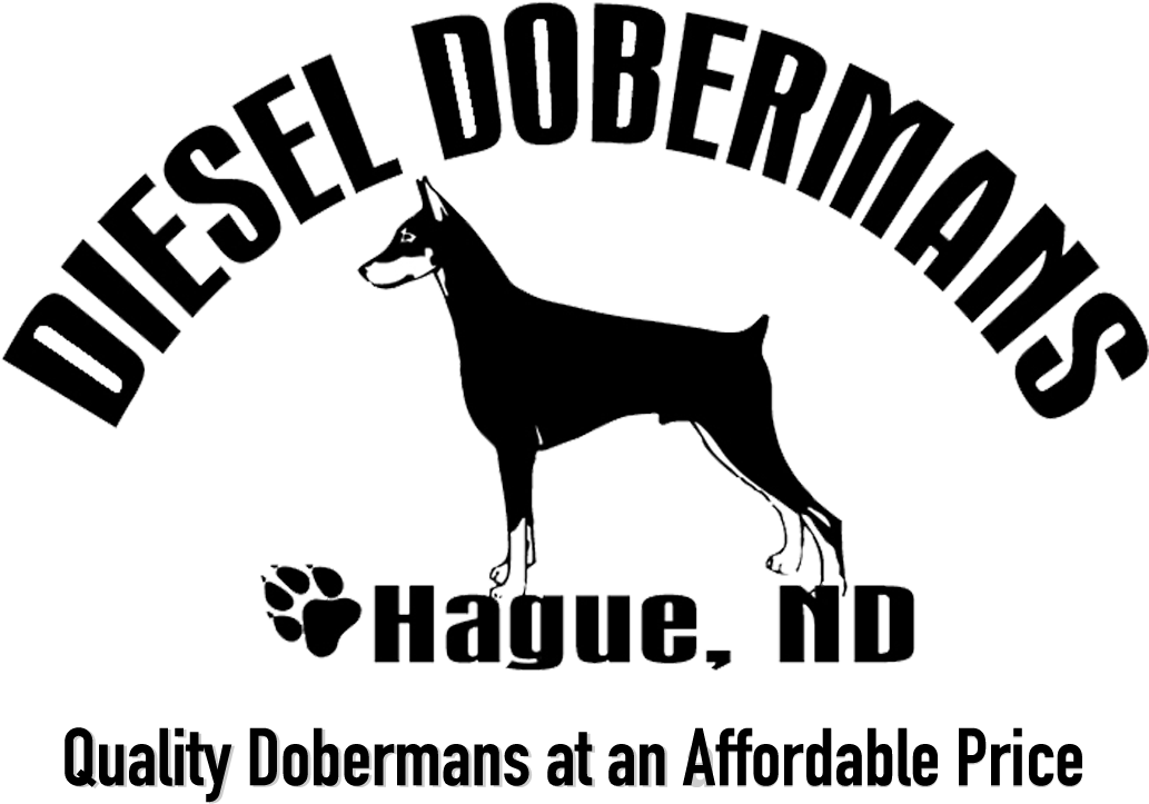 Diesel Dobermans Logo PNG Image