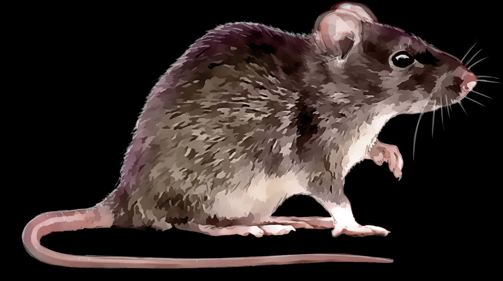 Digital Art Rat Profile PNG Image