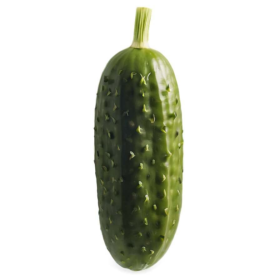 Dill Pickle With Dill Herb Png Tvu93 PNG Image