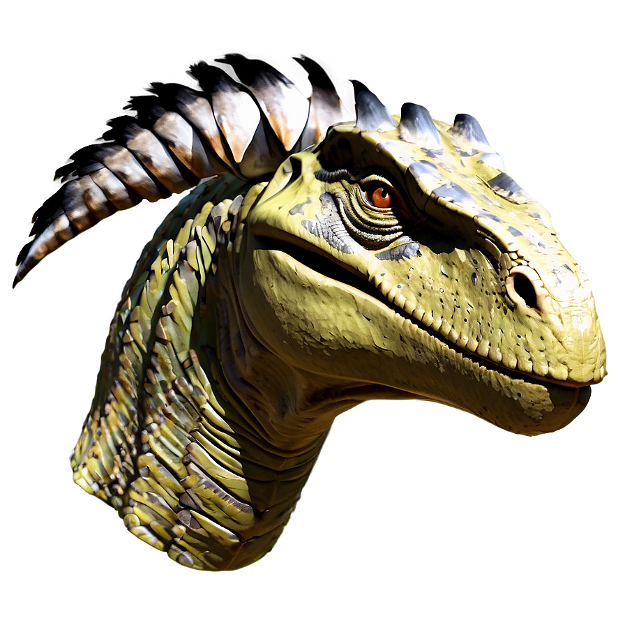 Dinosaur Head With Feathers Png 50 PNG Image