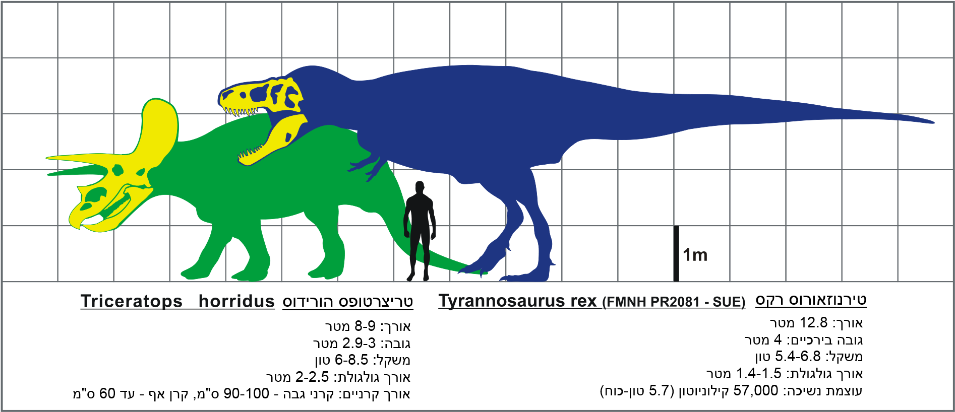 Dinosaur Size Comparison Chart PNG Image