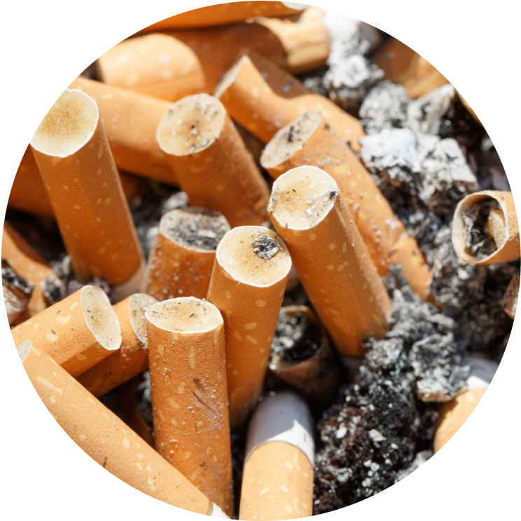 Discarded Cigarette Butts PNG Image