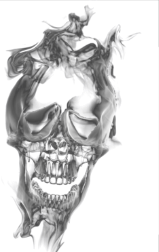 Distorted Skull Illusion PNG Image