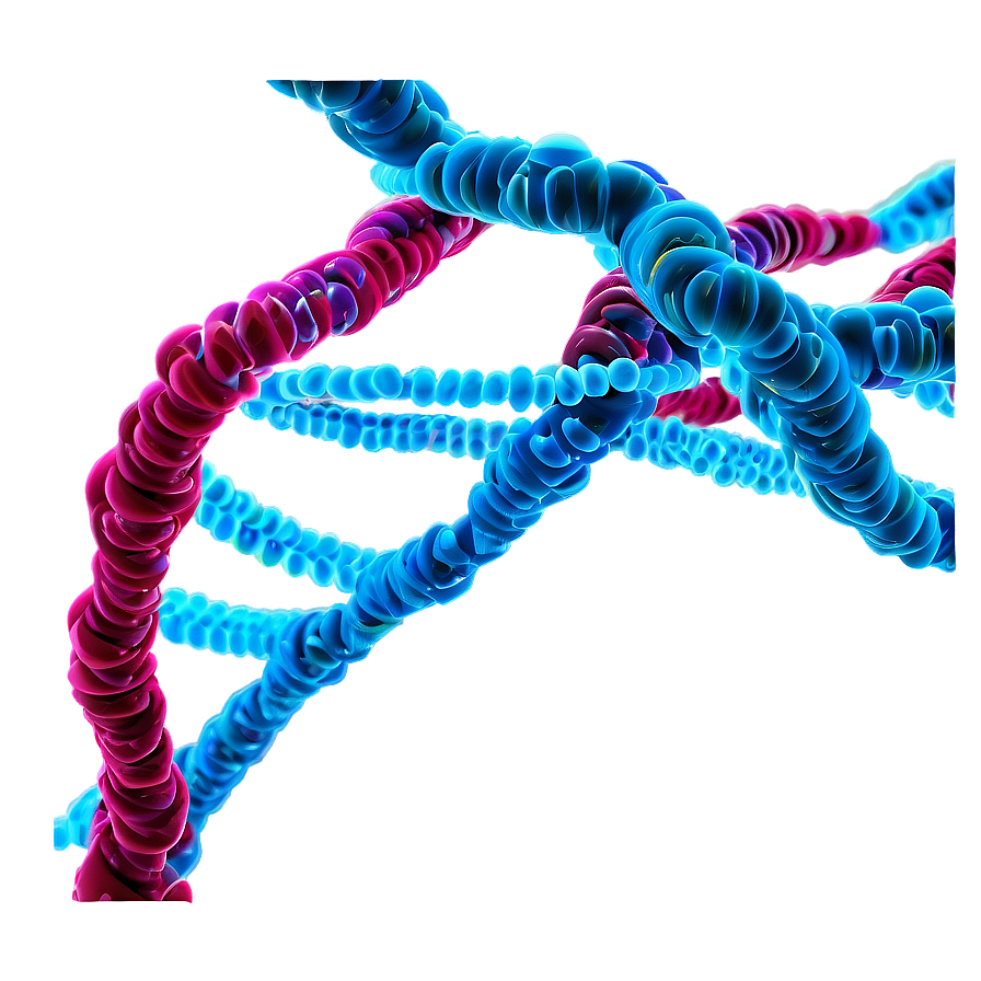 Dna Structure Science Png 05212024 PNG Image