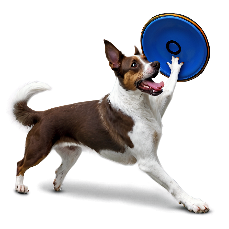 Dog Catching Frisbee Png Jdg98 PNG Image