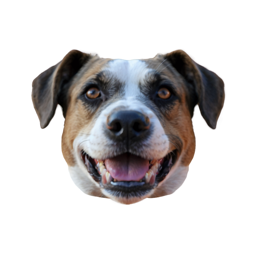 Dog Face Filter Effect Png Nwg25 PNG Image