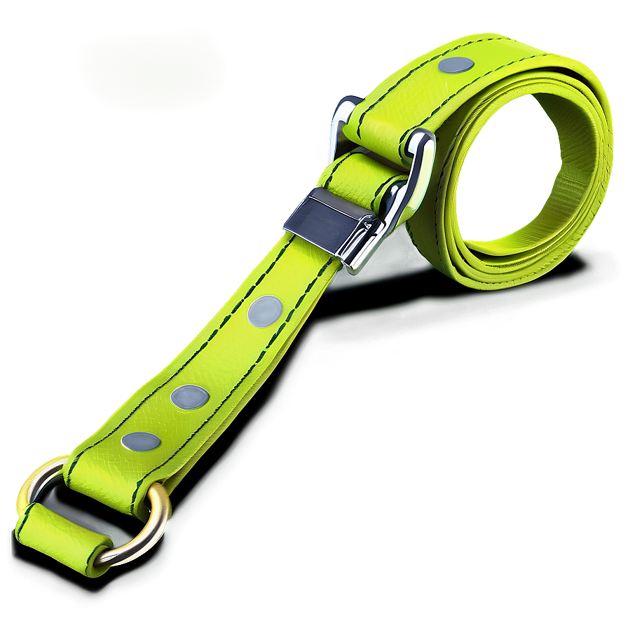 Dog Leash B PNG Image