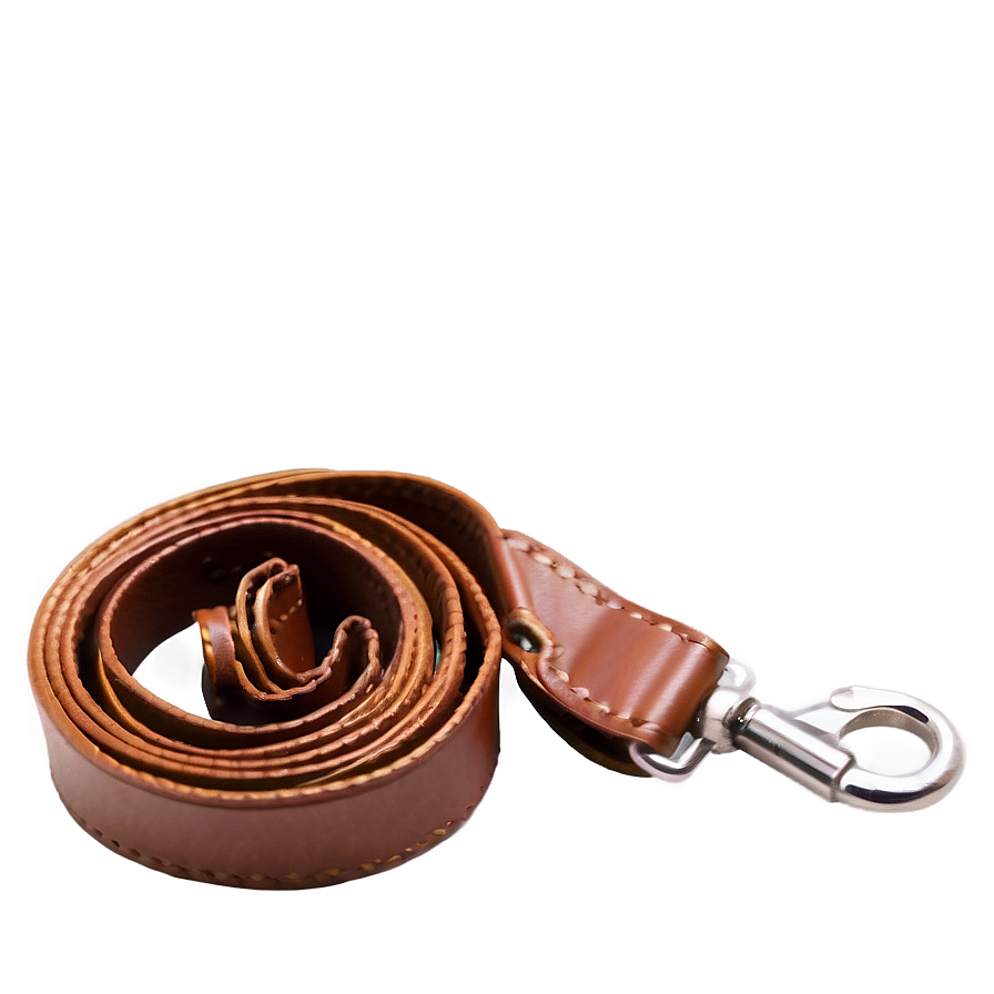 Dog Leash Png Eiq PNG Image