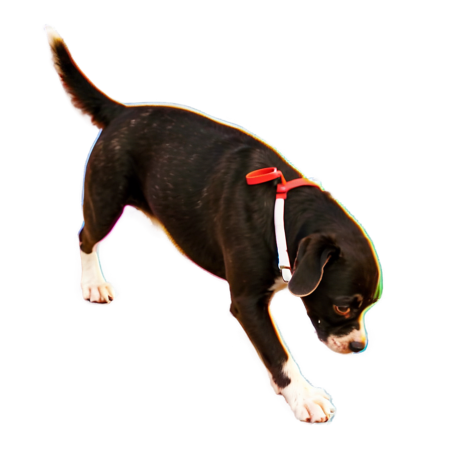 Dog Shapes Png Std PNG Image