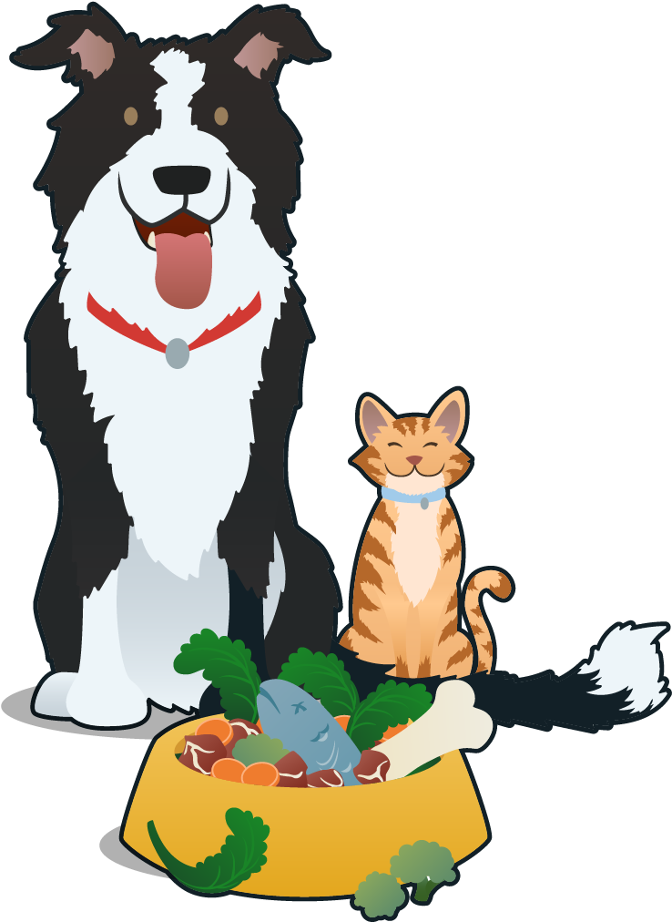 Dogand Cat Friends With Food Bowl PNG Image