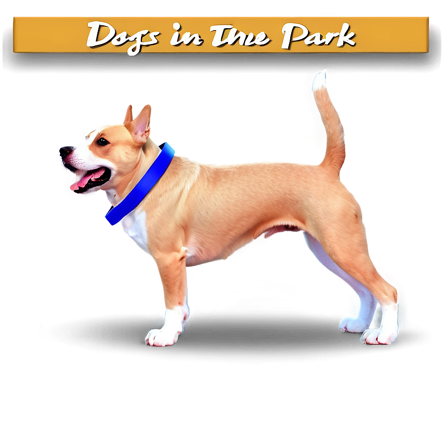 Dogs In The Park Png Saf PNG Image