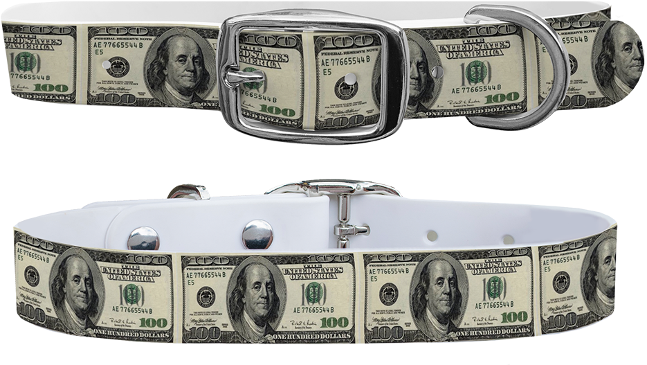 Dollar Print Belt Fashion Accessory PNG Image