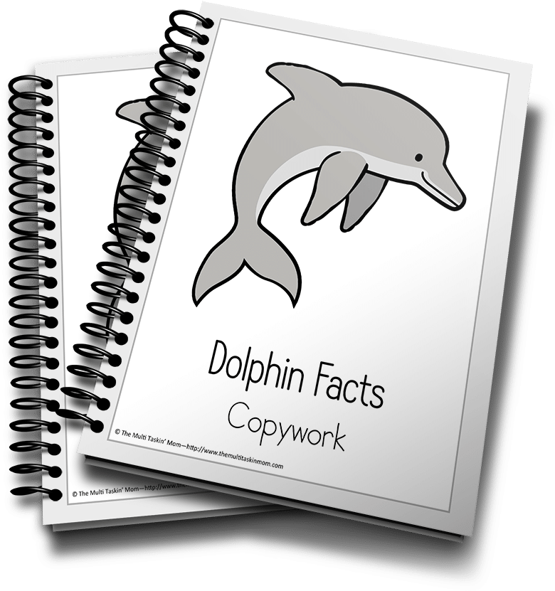 Dolphin Facts Copywork Notebooks PNG Image