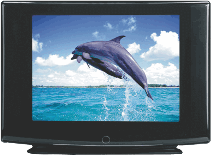 Dolphin Leap C R T Display PNG Image