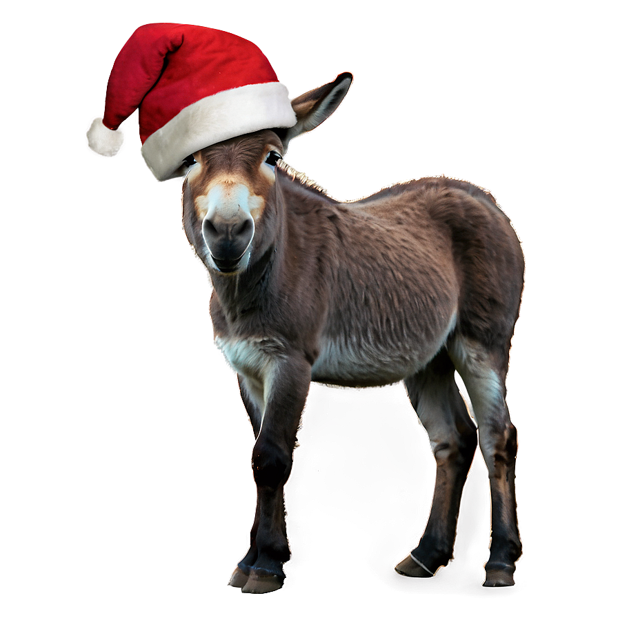 Donkey With Santa Hat Png 94 PNG Image