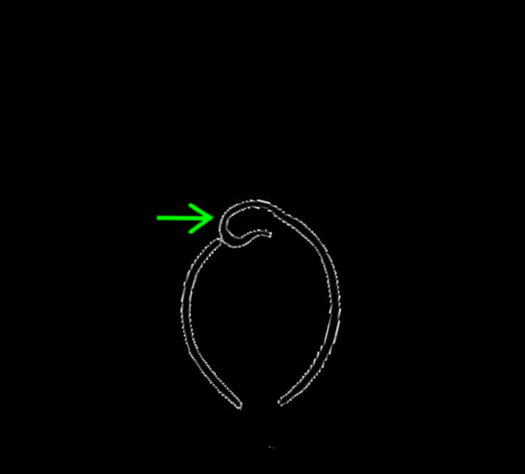 Dotted Line Arrow Indicating Direction PNG Image