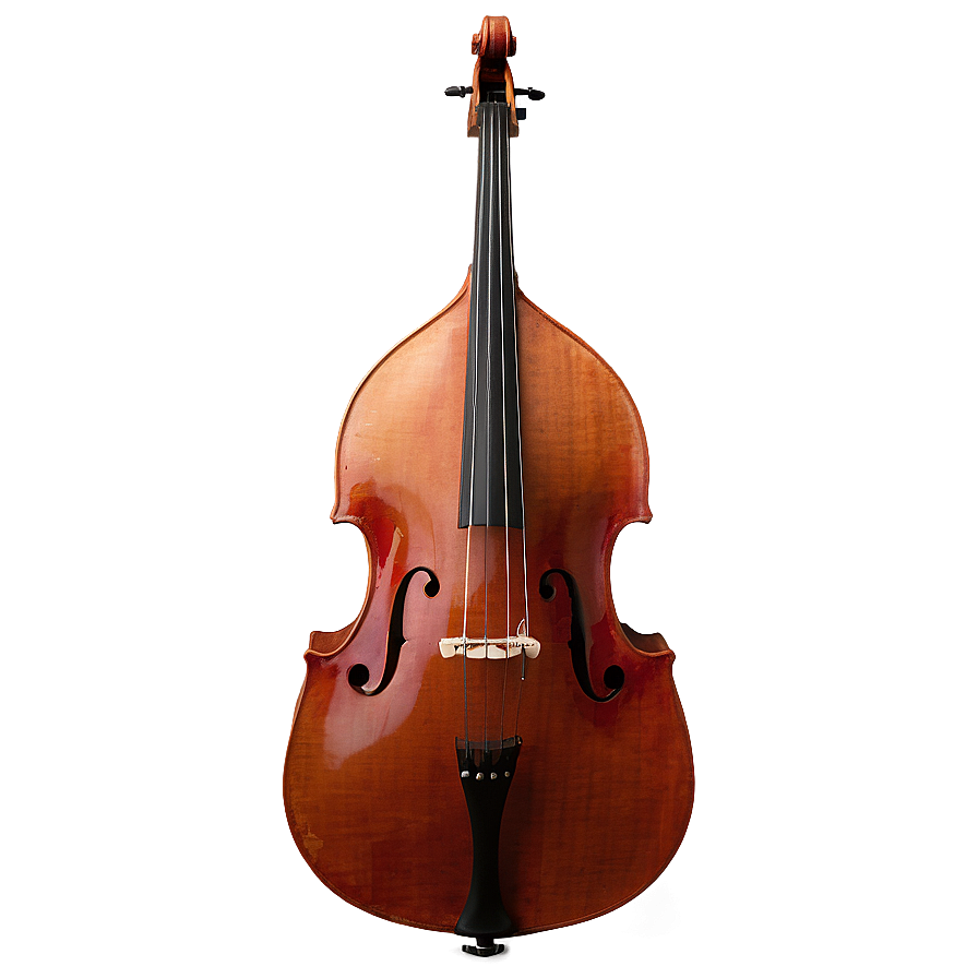 Double Bass In Nature Png Smn PNG Image