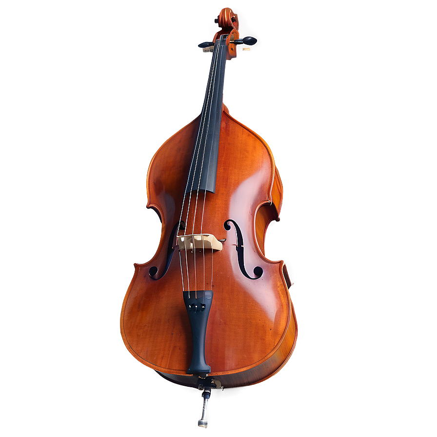 Double Bass In Orchestra Png Ttu94 PNG Image