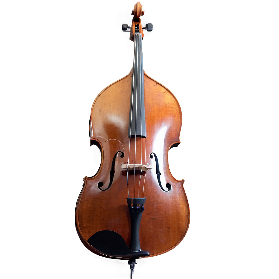 Double Bass Side View Png Fra32 PNG Image