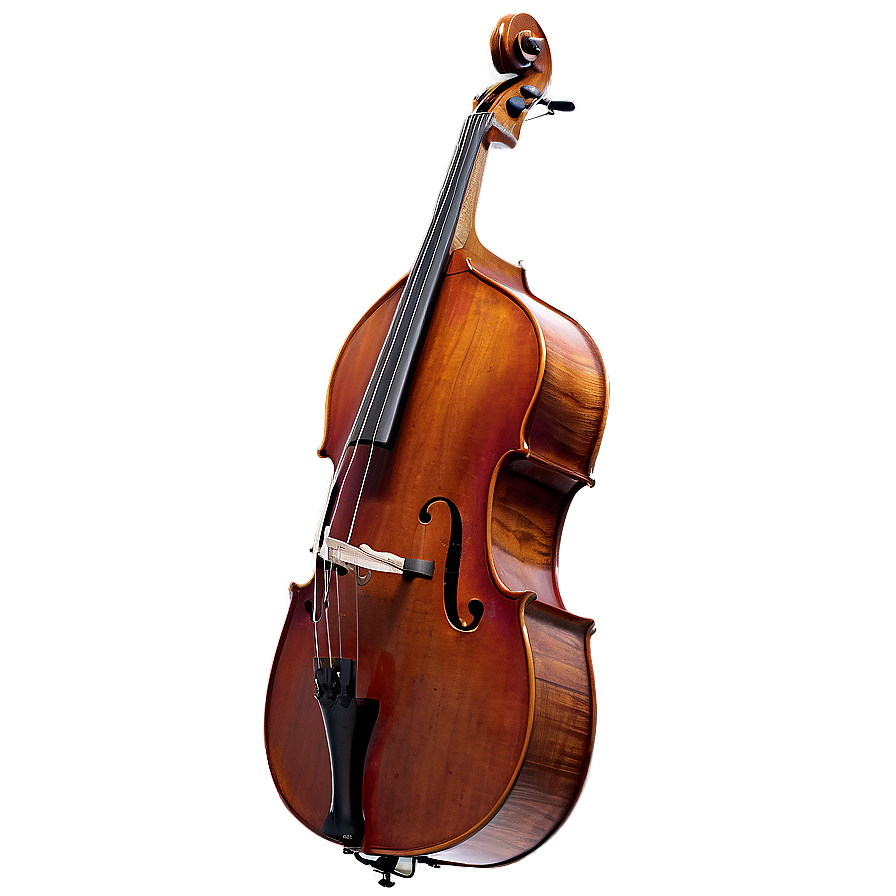 Double Bass Strings Close-up Png 9 PNG Image